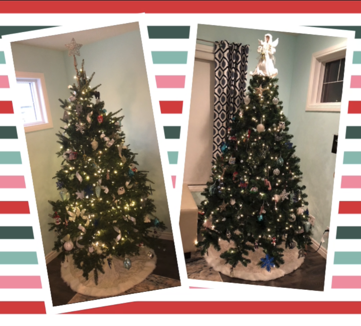 Are you team real tree or team fake tree? CochraneNow Cochrane